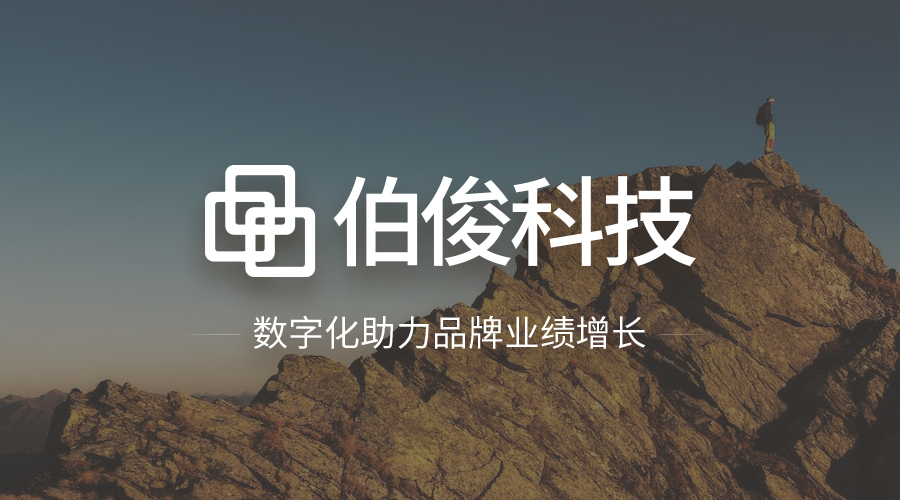 伯俊ERP運維服務(wù)，開啓專業運維新(xīn)模式